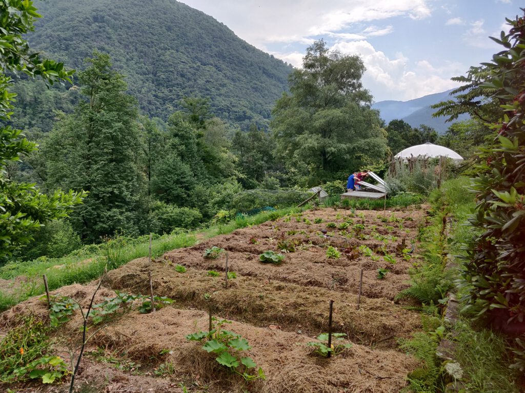 Excursion in the permaculture-inspired garden of our hosts at the scenic Vosa village in Ticino